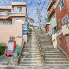 한민족 부산대마도 탐방 연수